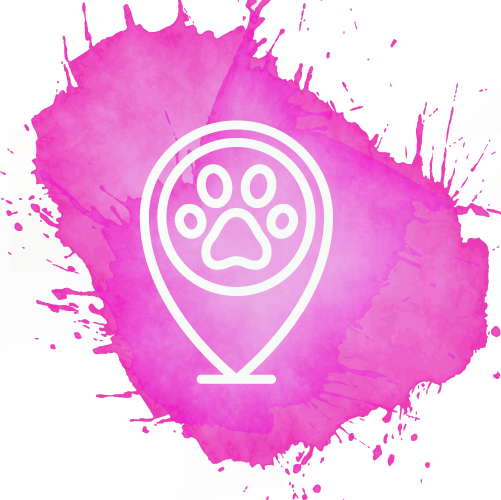 adesivoArtboard14