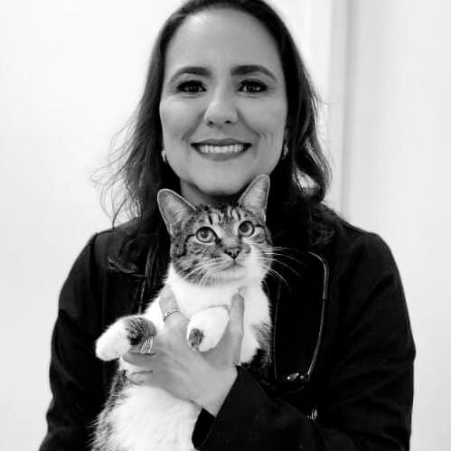 Dra Laura Sampaio Salomão